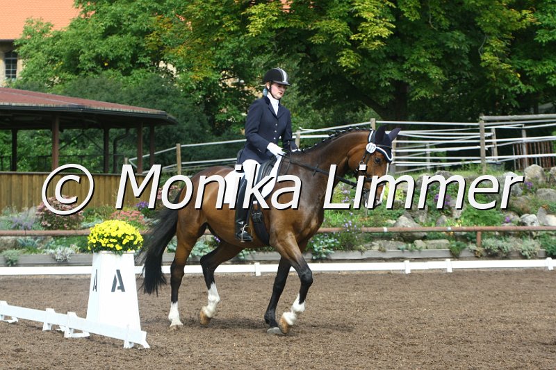 109M3839_Rubin_Dressur E.JPG